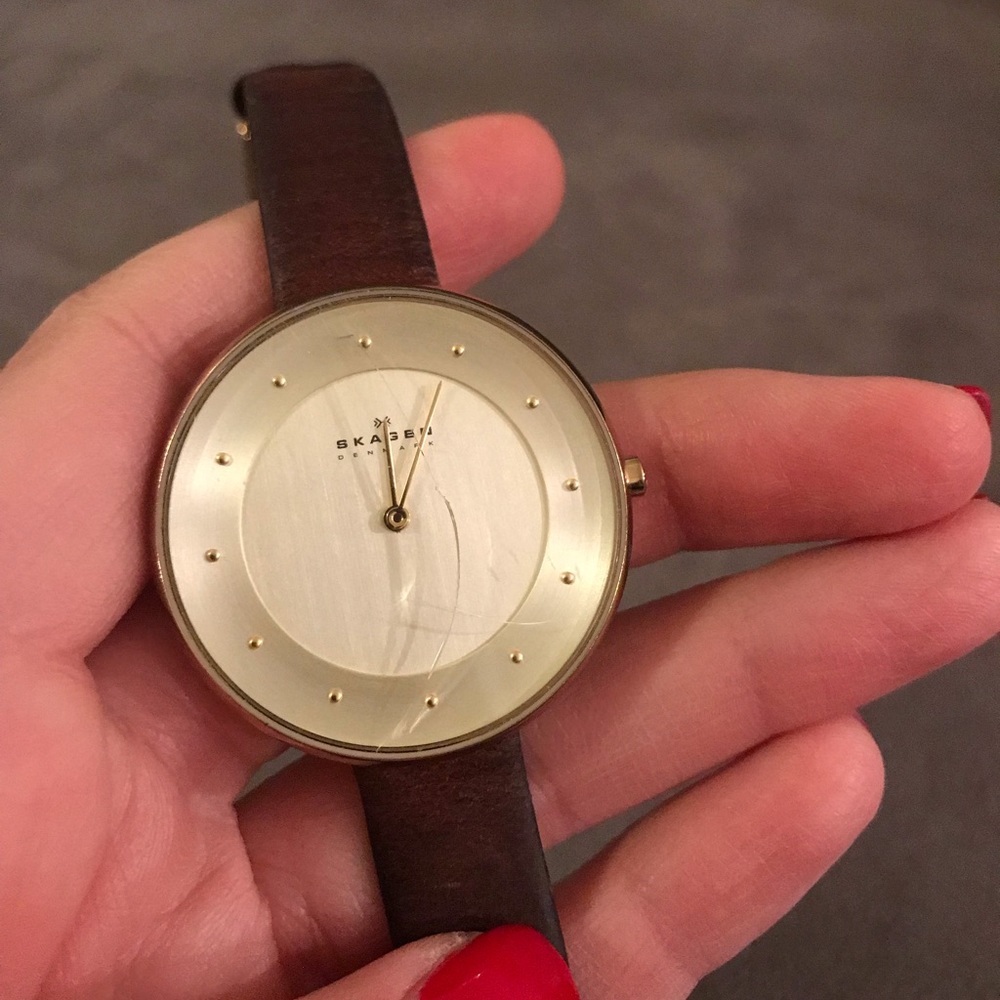 Skagen Brown Leather and Gold Watch
